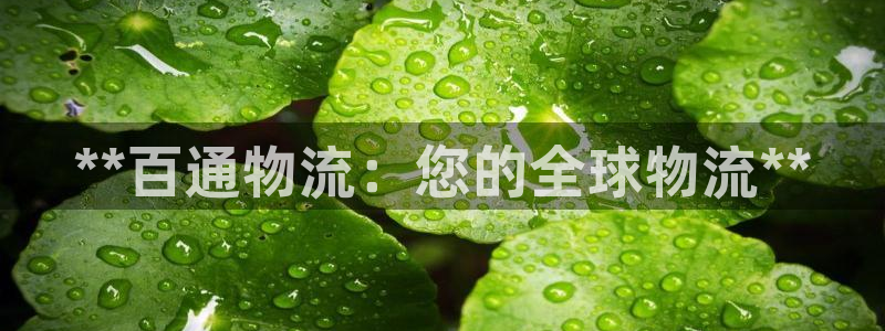 28圈体育下载：**百通物流：您的全