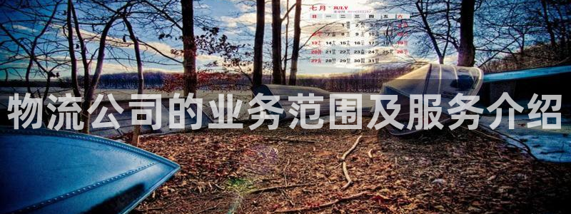 28圈能退款吗：物流公司的业务范围及