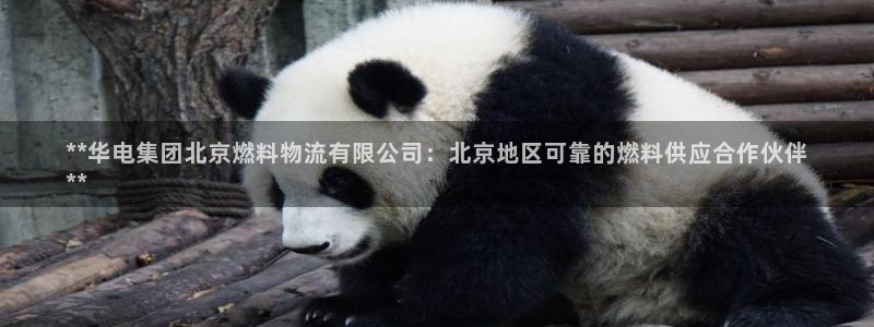 28圈网赌案件