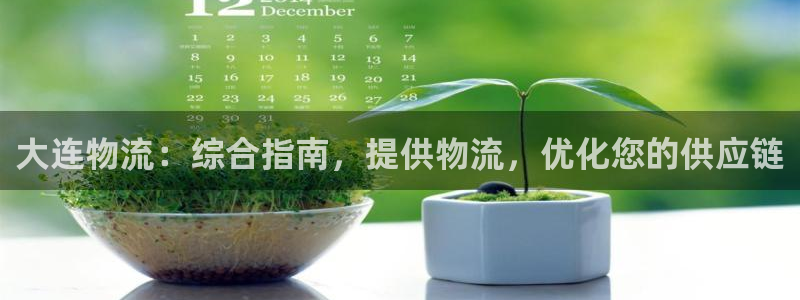 28圈app怎么注册账号：大连物流：综合指南，提供物流，优化